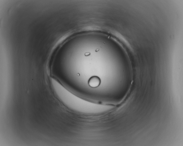 X0000113181269200909111047