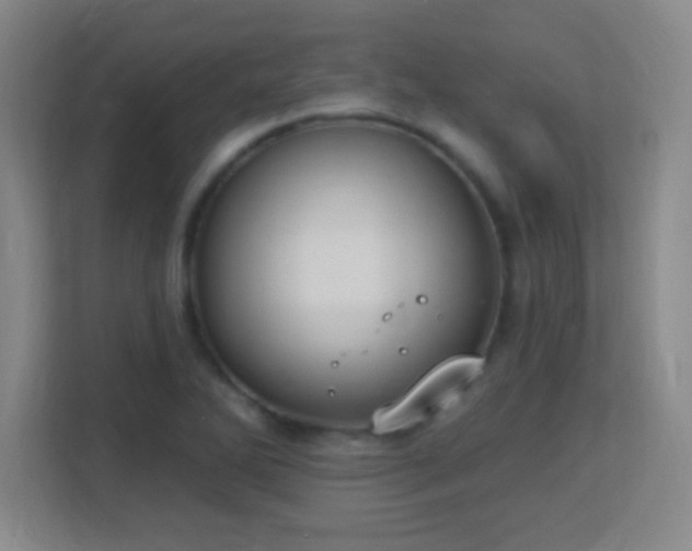 X0000113181270200909111047