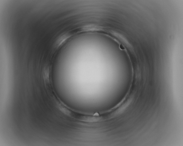 X0000113181273200909111047