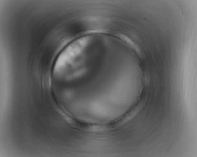 X0000113181274200909111047