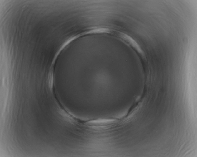 X0000113181276200909111047