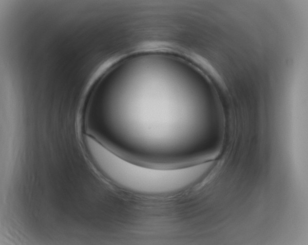 X0000113181277200909111047