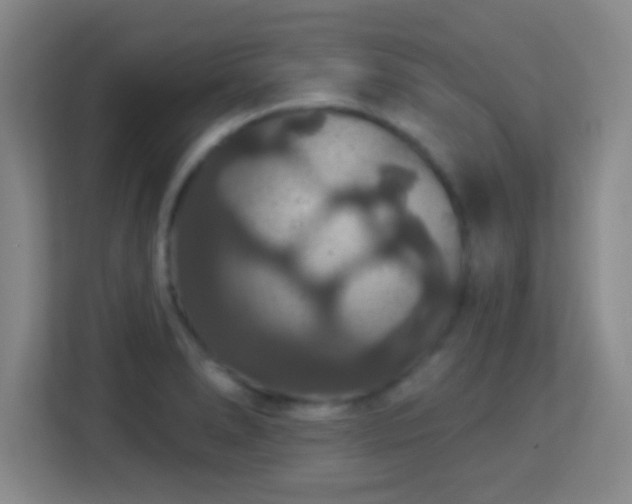X0000113181278200909111047