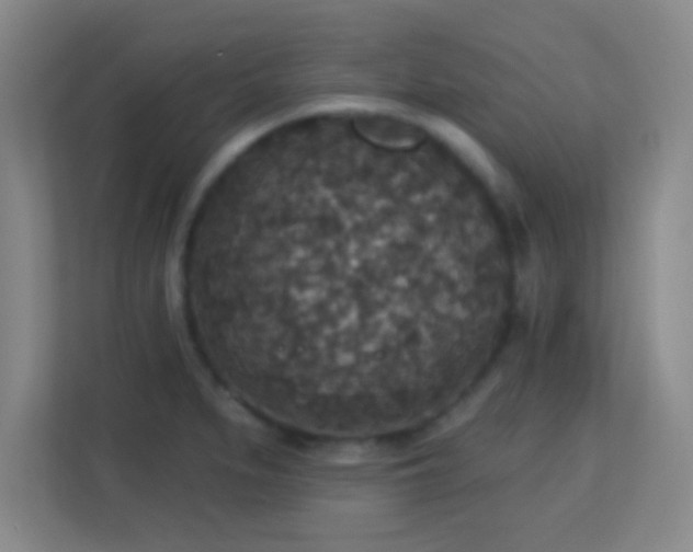 X0000113181279200909111047