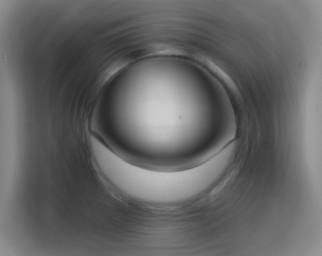X0000113181281200909111047