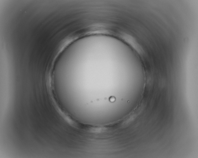 X0000113181282200909111047