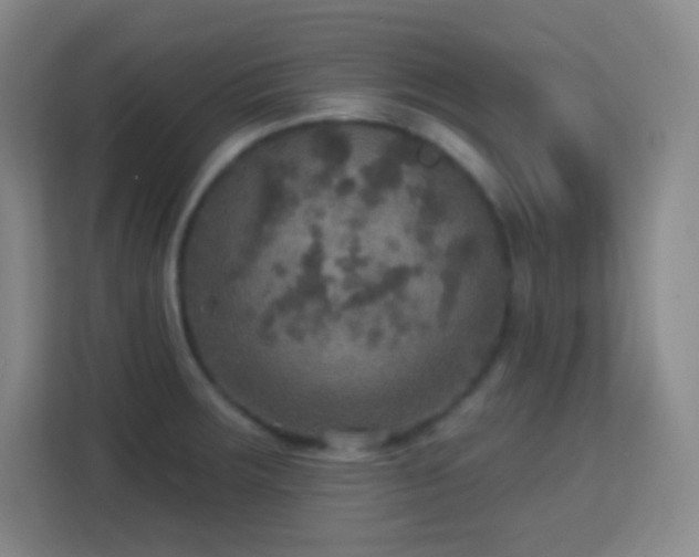 X0000113181283200909111047