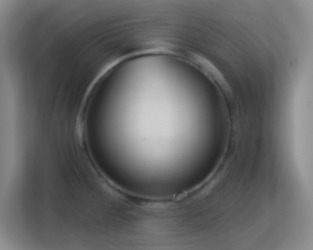 X0000113181284200909111047
