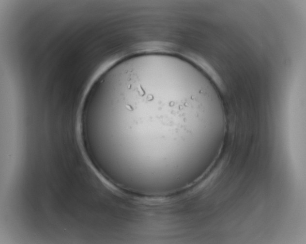 X0000113181285200909111047