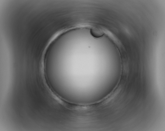 X0000113181286200909111047