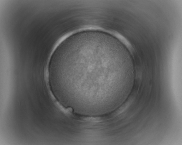 X0000113181287200909111047