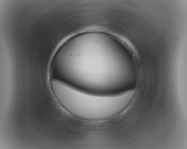 X0000113181288200909111047