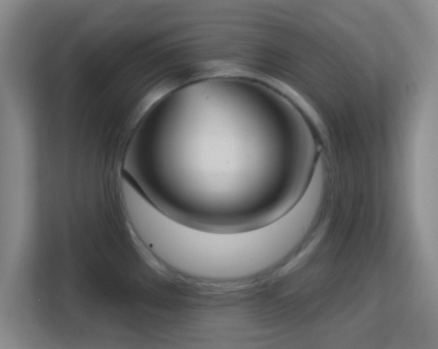 X0000113181289200909111047