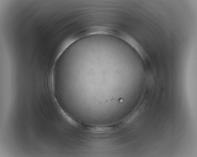 X0000113181290200909111047