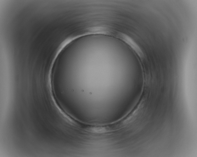 X0000113181291200909111047