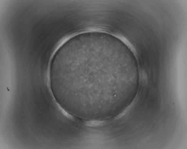 X0000113181294200909111047