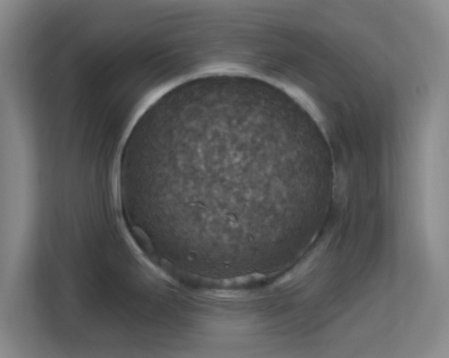 X0000113181295200909111047