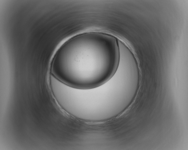 X0000113181296200909111047