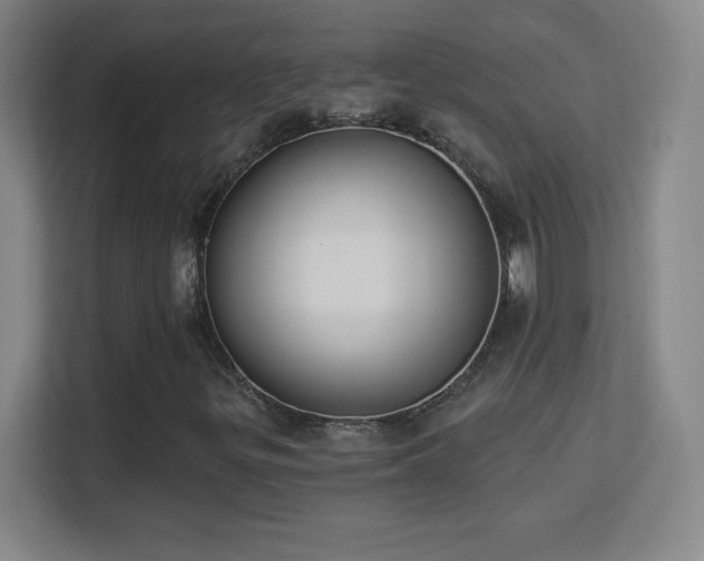 X0000113181299200909111046