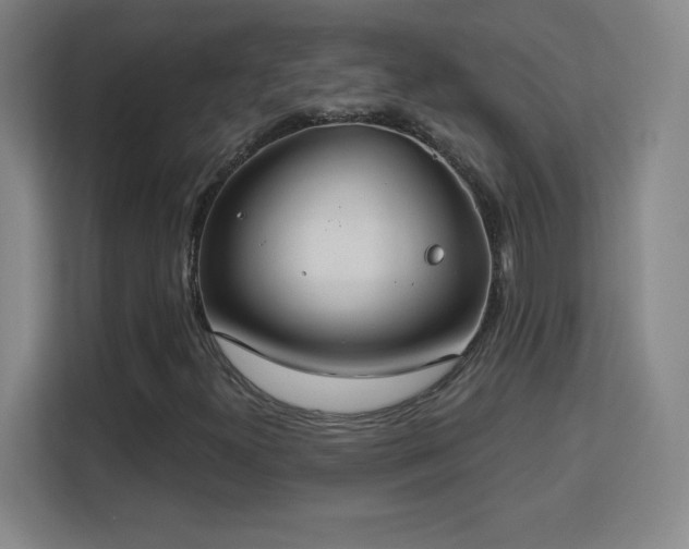 X0000113181300200909111046