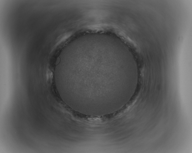 X0000113181302200909111046