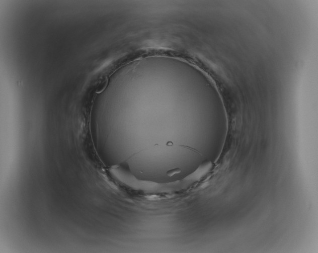 X0000113181303200909111046