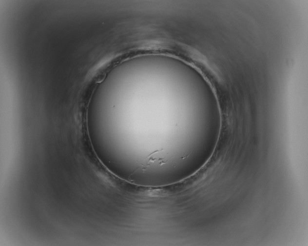 X0000113181304200909111046