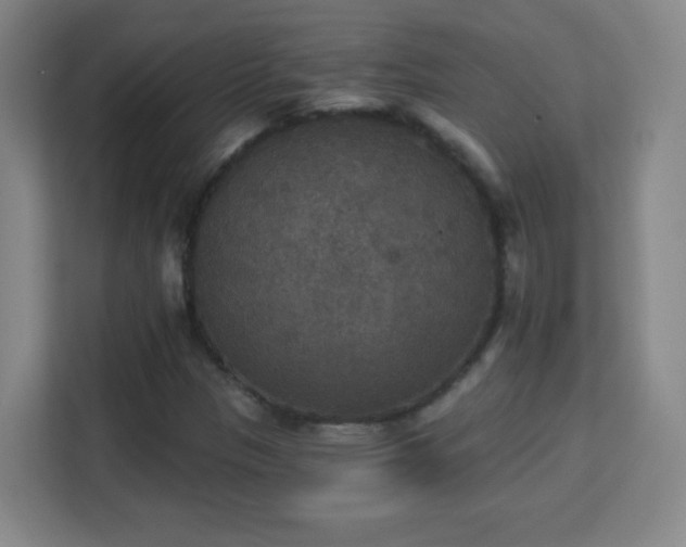 X0000113181305200909111046