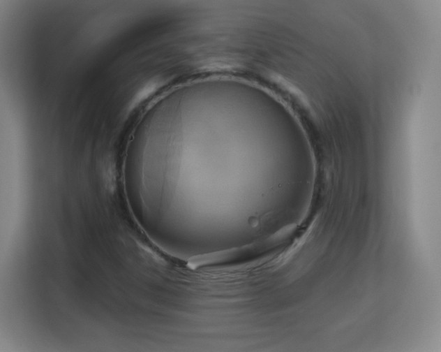 X0000113181306200909111046