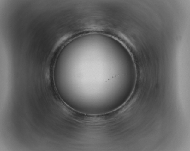 X0000113181307200909111046
