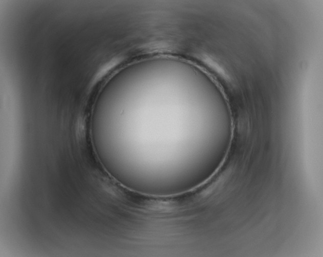 X0000113181309200909111046