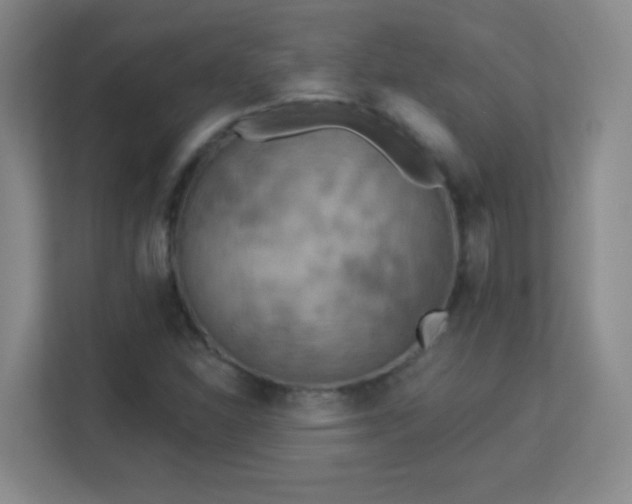 X0000113181310200909111046