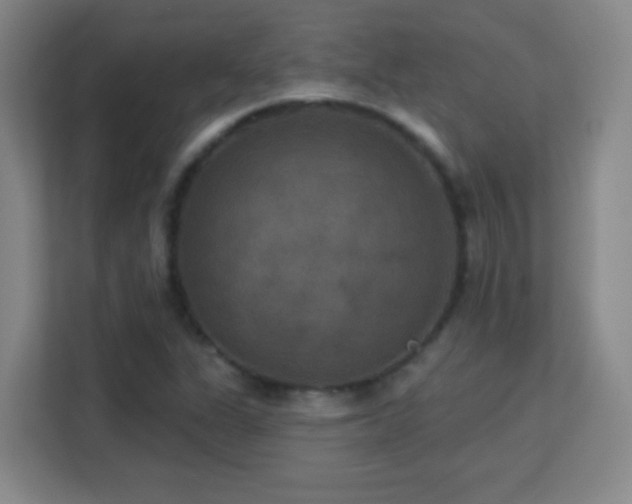 X0000113181311200909111046