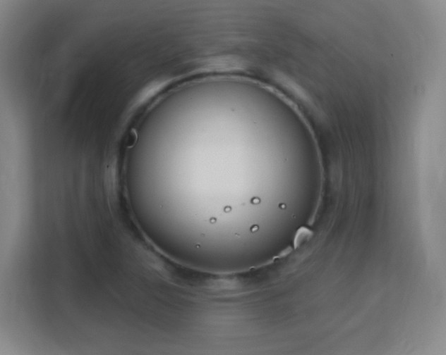 X0000113181315200909111046