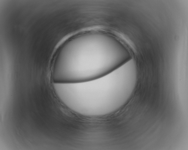 X0000113181316200909111046