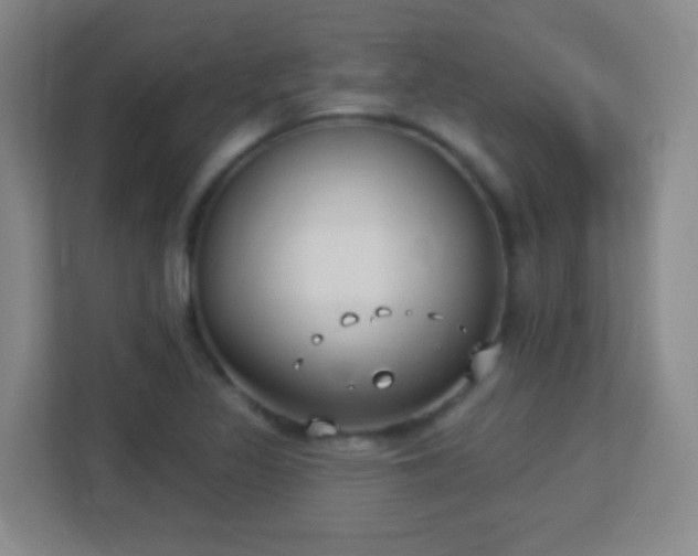 X0000113181317200909111046