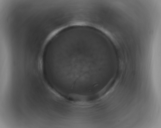 X0000113181319200909111046
