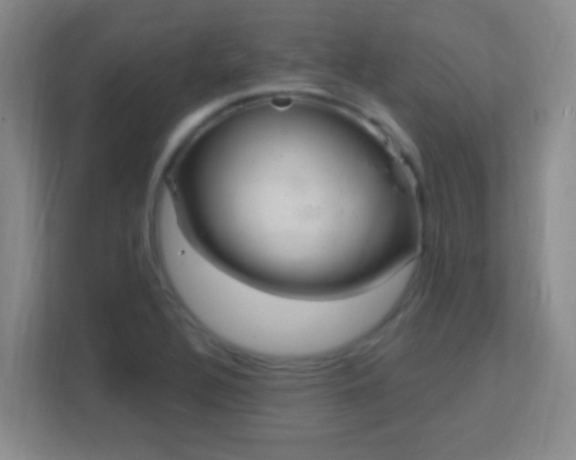X0000113181320200909111046
