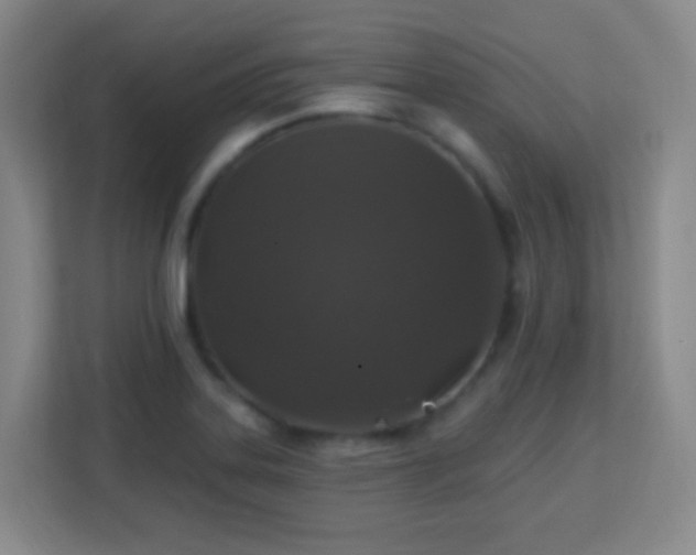 X0000113181323200909111047