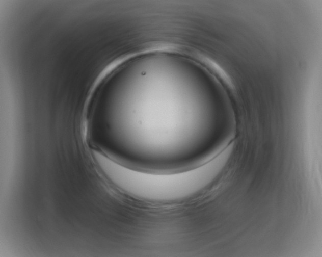X0000113181324200909111047