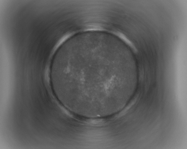 X0000113181325200909111047