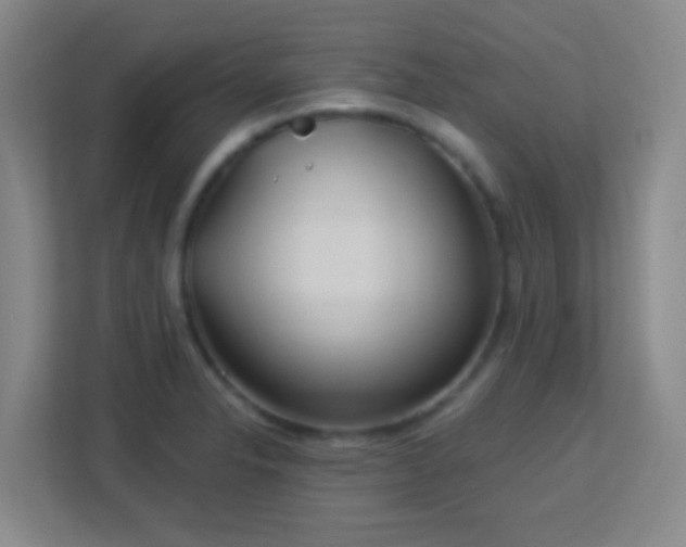 X0000113181326200909111047