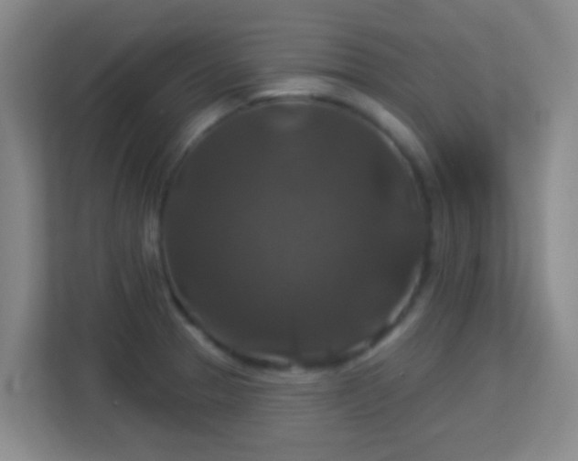 X0000113181329200909111047