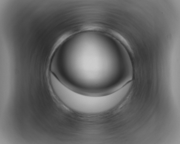 X0000113181330200909111047