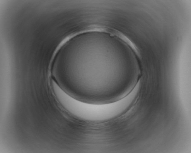 X0000113181332200909111047