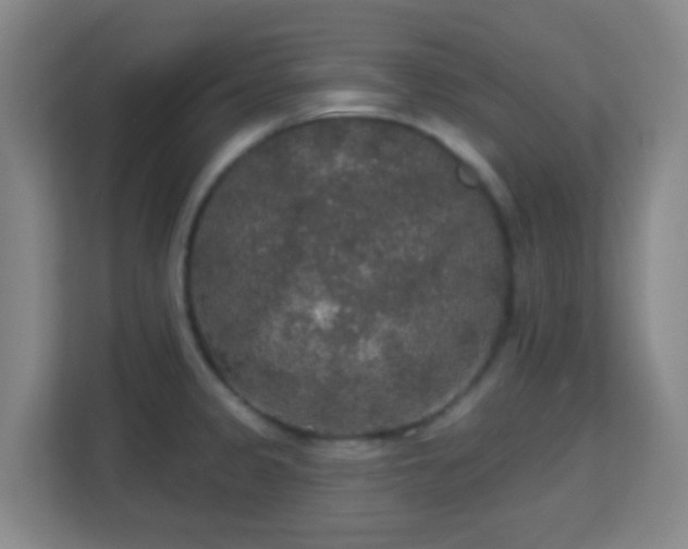 X0000113181333200909111047