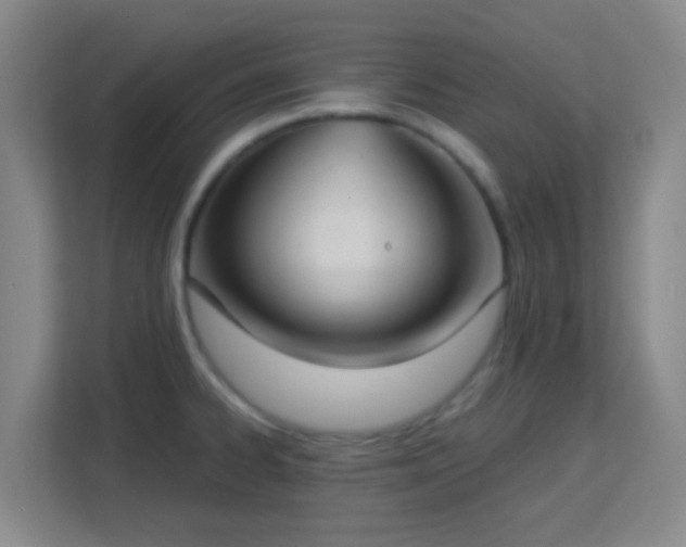 X0000113181334200909111047