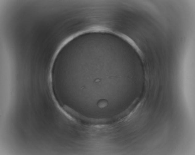 X0000113181335200909111047