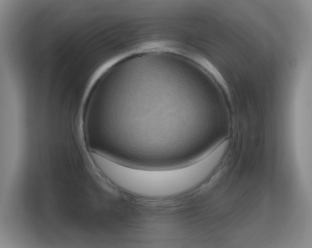 X0000113181336200909111047