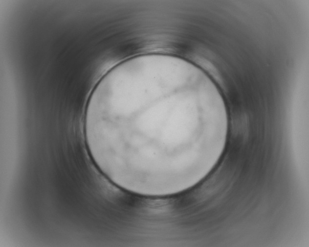 X0000113181338200909111047